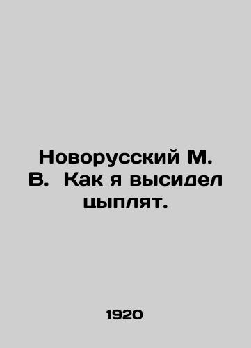 Novorusskiy M. V. Kak ya vysidel tsyplyat./Novorussky M. V. How I raised chickens. In Russian - landofmagazines.com