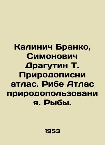 Kalinich Branko, Simonovich Dragutin T. Prirodopisni atlas. Ribe Atlas prirodopolzovaniya. Ryby./Kalinic Branko, Simonovich Dragutin T. Nature Atlas. Ribe Atlas of Nature Management. Fish. In Russian - landofmagazines.com