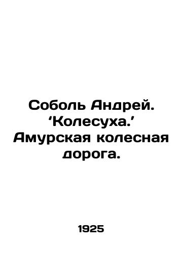Sobol Andrey. ‘Kolesukha.’ Amurskaya kolesnaya doroga./Sobol Andrey.. Wheelchair.. Amur wheeled road. In Russian - landofmagazines.com