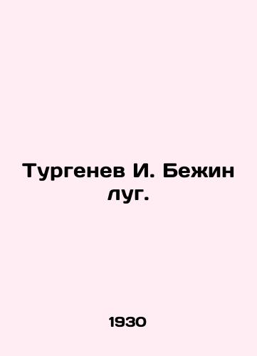 Turgenev I. Bezhin lug./Turgenev I. Begin Meadow. In Russian - landofmagazines.com