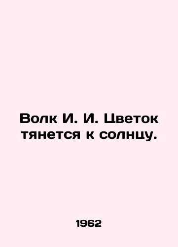 Volk I. I. Tsvetok tyanetsya k solntsu./Wolf I.I. Flower reaches for the sun. In Russian - landofmagazines.com