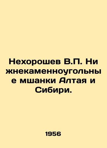 Nekhoroshev V.P. Nizhnekamennougolnye mshanki Altaya i Sibiri./Nekhoroshev V.P. Nizhnekamensk coal mines of Altai and Siberia. In Russian - landofmagazines.com