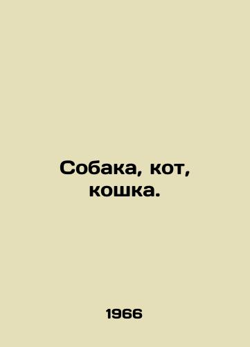 Sobaka, kot, koshka./Dog, cat, cat. In Russian - landofmagazines.com
