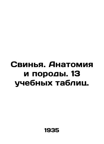 Svinya. Anatomiya i porody. 13 uchebnykh tablits./Pig. Anatomy and Breeds. 13 Tables. In Russian - landofmagazines.com