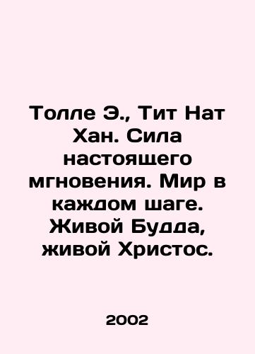 A. ANTEEV LIVING PORTRET AND TYPOGRAPHY TYPOGRAPHY OF TICHANOV SPB 1895 In Russian (ask us if in doubt)/A. ANTEEV ZhIVOY PORTRET I RASSKAZY TIPOGRAFIYa TIKhANOVA SPB 1895 GODA - landofmagazines.com