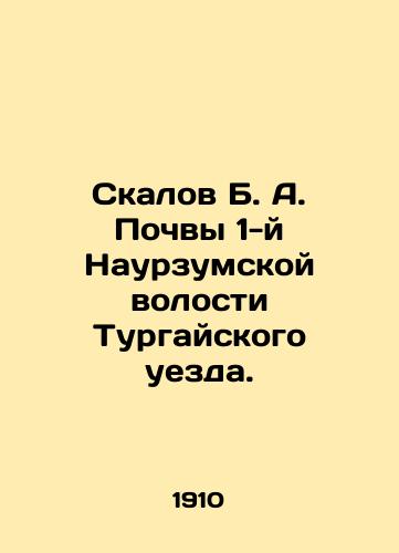 Skalov B. A. Pochvy 1-y Naurzumskoy volosti Turgayskogo uezda./Skalov B. A. Soil of the 1st Naurzum Parish of Turgai County. In Russian - landofmagazines.com