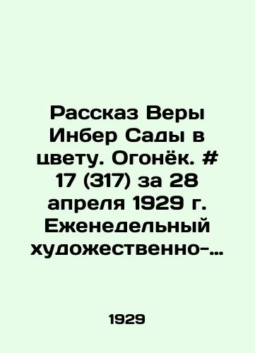 Rasskaz Very Inber Sady v tsvetu. Ogonyok. # 17 (317) za 28 aprelya 1929 g. Ezhenedelnyy khudozhestvenno-literaturnyy zhurnal. /The Story of Vera Inber Gardens in Blossom. Fire. # 17 (317), April 28, 1929, Weekly Art and Literature Journal. - landofmagazines.com