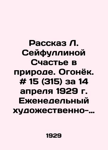 Rasskaz L. Seyfullinoy Schaste v prirode. Ogonyok. # 15 (315) za 14 aprelya 1929 g. Ezhenedelnyy khudozhestvenno-literaturnyy zhurnal. /L. Seyfullinas Story of Happiness in Nature. Fire. # 15 (315) for April 14, 1929. Weekly fiction and literature magazine. - landofmagazines.com