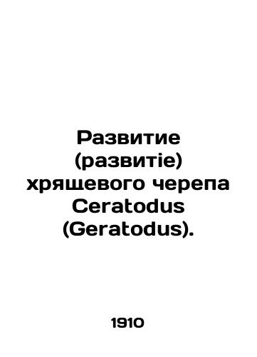 Razvitie (razvitie) khryashchevogo cherepa Seratodus (Geratodus)./Development of the cartilaginous skull of Seratodus (Geratodus). In Russian - landofmagazines.com