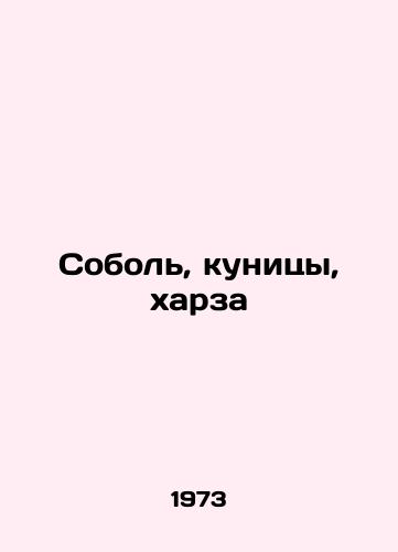Sobol, kunitsy, kharza/Sable, marten, harza In Russian - landofmagazines.com