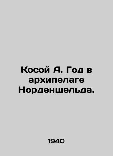 Kosoy A. God v arkhipelage Nordenshelda./A Year in the Nordenskjöld Archipelago. In Russian - landofmagazines.com
