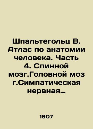 Shpaltegolts V. Atlas po anatomii cheloveka. Chast 4. Spinnoy mozg.Golovnoy mozg.Simpaticheskaya nervnaya sistema. Spinnomozgovye nervy. Organ zreniiya. Organ slukha/Spaltegoltz V. Atlas of Human Anatomy. Part 4. Spinal Brain. Sympathic nervous system. Spinal nerves. Organ of vision. Organ of hearing In Russian - landofmagazines.com