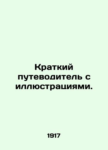Kratkiy putevoditel s illyustratsiyami./A short guide with illustrations. In Russian - landofmagazines.com