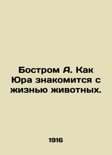 Bostrom A. Kak Yura znakomitsya s zhiznyu zhivotnykh./C3 - landofmagazines.com