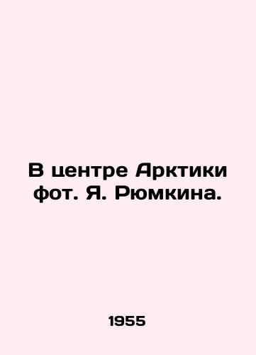 V tsentre Arktiki fot. Ya. Ryumkina./In the center of the Arctic, photo by Ya. Ryumkin. - landofmagazines.com