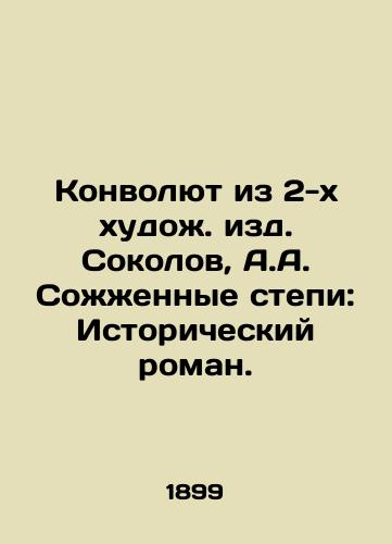 Konvolyut iz 2-kh khudozh. izd. Sokolov, A.A. Sozhzhennye stepi: Istoricheskiy roman. /A Convolute of 2 Artists. Sokolov, A.A. Burned Steppe: A Historical Novel. - landofmagazines.com