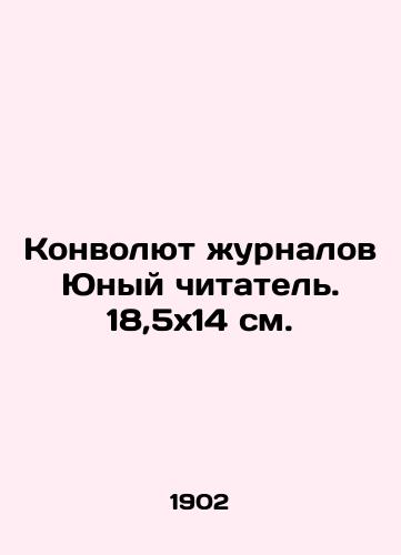 Konvolyut zhurnalov Yunyy chitatel. 18,5x14 sm./Journal Revolution Young Reader. 18.5x14 sm. - landofmagazines.com