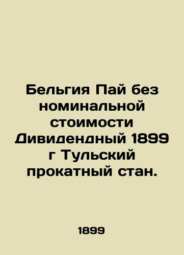 Belgiya Pay bez nominalnoy stoimosti Dividendnyy 1899 g Tulskiy prokatnyy stan./Belgium Pie without face value 1899 Tula Rolling Mill Dividend. In Russian - landofmagazines.com
