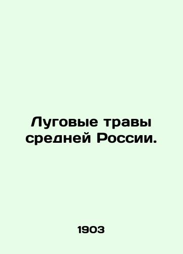 Lugovye travy sredney Rossii./The grasslands of central Russia. In Russian - landofmagazines.com