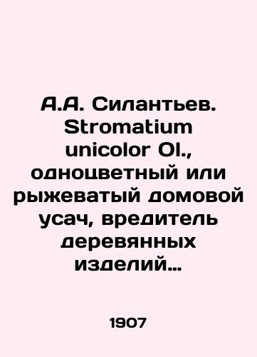 A.A. Silantev. Stromatium unicolor Ol.,  odnotsvetnyy ili ryzhevatyy domovoy usach, vreditel derevyannykh izdeliy v Zakavkazi/A.A. Silantyev. Stromatium unicolor Ol.,  monochromatic or reddish house owl, a pest of wood products in Transcaucasia In Russian - landofmagazines.com