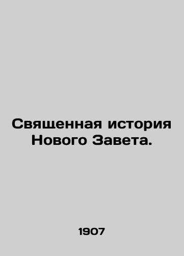 Svyashchennaya istoriya Novogo Zaveta./Sacred History of the New Testament. In Russian - landofmagazines.com