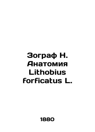 Zograf N. Anatomiya Lithobius forficatus L./Zoographer N. Anatomy Lithobius forficatus L. In Russian - landofmagazines.com