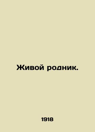 Zhivoy rodnik./A living spring. In Russian - landofmagazines.com