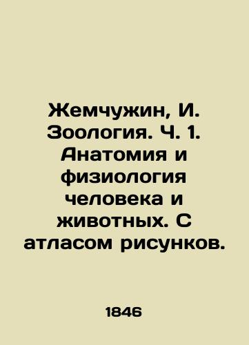 Zhemchuzhin, I. Zoologiya. Ch. 1. Anatomiya i fiziologiya cheloveka i zhivotnykh. S atlasom risunkov. /Pearl, I. Zoology. Part 1. Anatomy and physiology of humans and animals. With an atlas of drawings. - landofmagazines.com