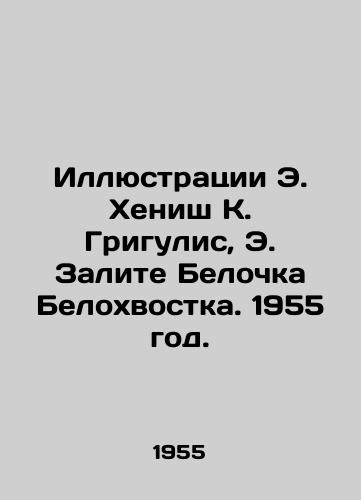 Illyustratsii E. Khenish K. Grigulis, E. Zalite Belochka Belokhvostka. 1955 god./Illustrations by E. Henish K. Grigulis, E. Bay Squirrel White Tail. 1955. - landofmagazines.com