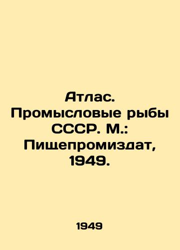 Atlas. Promyslovye ryby SSSR. M.: Pishchepromizdat, 1949./Atlas. Commercial Fish of the USSR. M.: Food Promiszdat, 1949. - landofmagazines.com