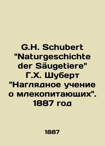 G.H. Schubert Naturgeschichte der Saeugetiere G.Kh. Shubert Naglyadnoe uchenie o mlekopitayushchikh. 1887 god/G.H. Schubert Naturgeschichte der Säugetiere H.H. Schubert Visual Mammal Teaching. 1887 - landofmagazines.com