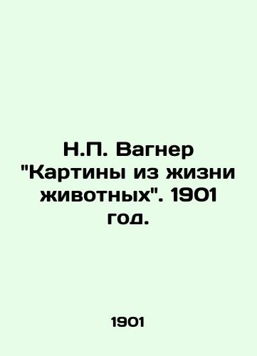 N. Vagner Kartiny iz zhizni zhivotnykh. 1901 god./H. Wagners Animal Life Paintings. 1901. - landofmagazines.com