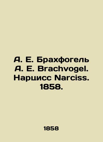 A. E. Brakhfogel A. E. Brachvogel. Nartsiss Narciss. 1858./A. E. Brachvogel A. E. Brachvogel. Narcisse. 1858. - landofmagazines.com