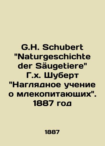 G.H. Schubert Naturgeschichte der Saeugetiere G.x. Shubert Naglyadnoe uchenie o mlekopitayushchix. 1887 god/G.H. Schubert Naturgeschichte der Säugetiere H.H. Schubert Visual Mammal Teaching. 1887 - landofmagazines.com